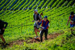 BIB: 
                            <button type="button" onclick="openModal(19161503)" class="btn btn-primary btn-sm float-right btn-popup" data-toggle="modal" data-target=".modal-high-quality">
                        <i class="fas fa-shopping-cart"></i> Add to Cart
                    </button>
                                            <button type="button" onclick="isThisMe(19161503, true)" class="btn btn-success btn-sm float-right btn-popup btn-isme hidden" data-toggle="tooltip" data-placement="bottom" title="นี่คือรูปของคุณใช่ไหม คลิกที่นี่เพื่อเอาเข้าอัลบั้ม">
                        <i class="fas fa-plus"></i> Add to album
                    </button>
                    <button type="button" onclick="isThisMe(19161503, false)" class="btn btn-warning btn-sm float-right btn-popup btn-isnotme hidden">
                        <i class="fas fa-ban"></i> Remove from album
                    </button>